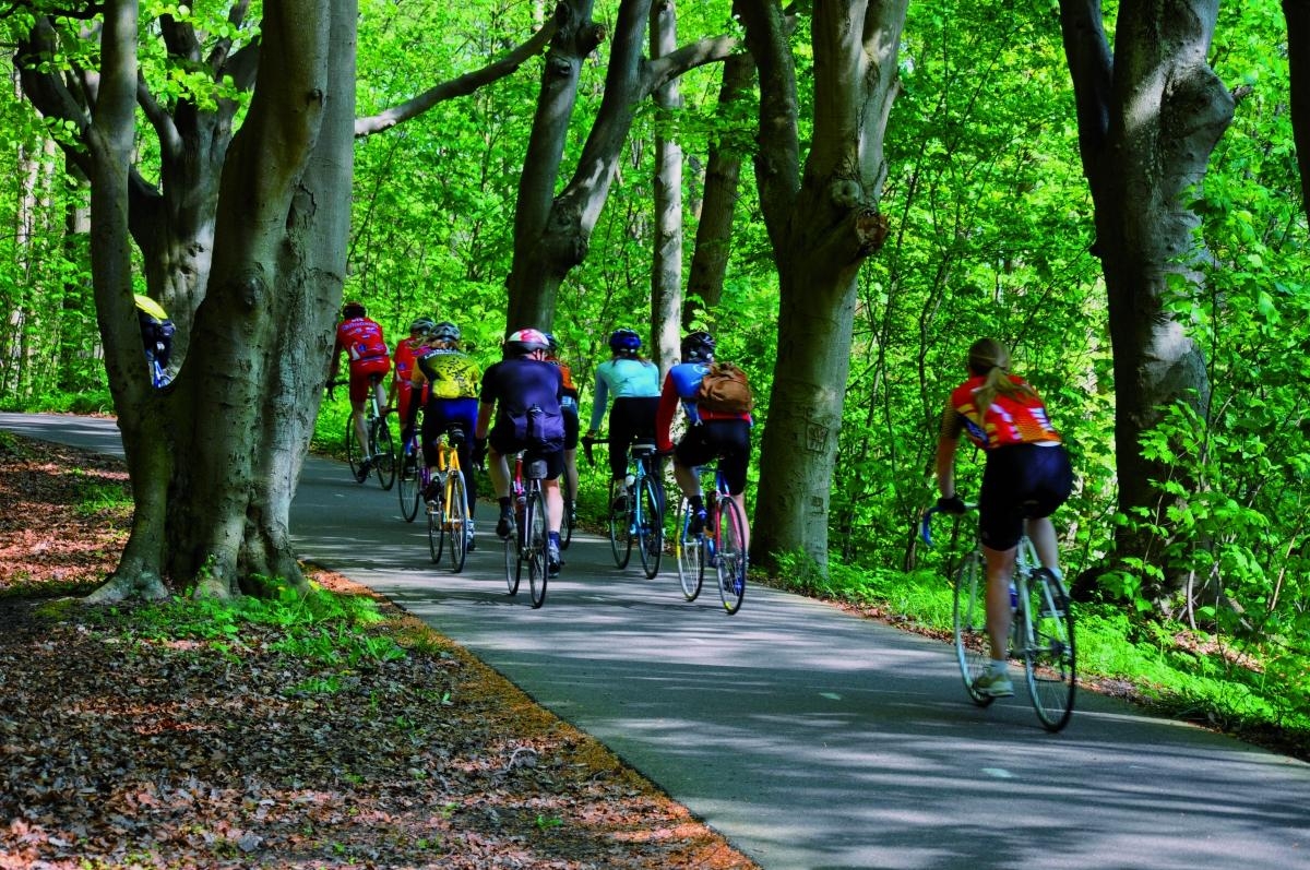 Wielrenners fietsen over een verhard pad door de bossen